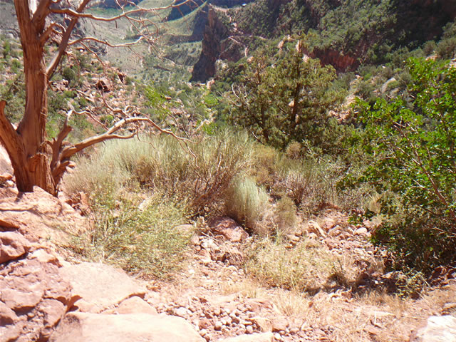 images/B- Mule Ride, riding down in to Grand Canyon (11).jpg